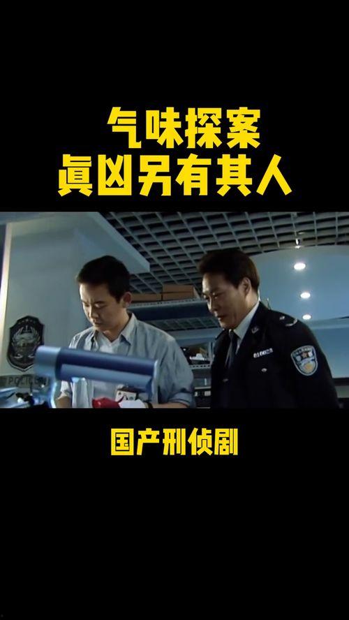 谁是真凶国产剧在线观看,揭秘悬疑迷雾，探寻真相的惊心动魄之旅