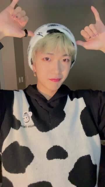 国产小奶牛在线,萌动奶源，助力健康生活新风尚