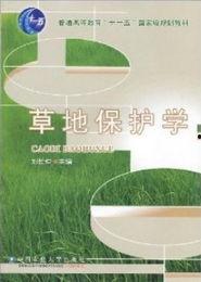 青草国产精品视频在线,一场视觉盛宴的深度解析