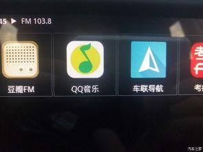 国产寻花在线导航,探索国内花卉世界的绿色指南